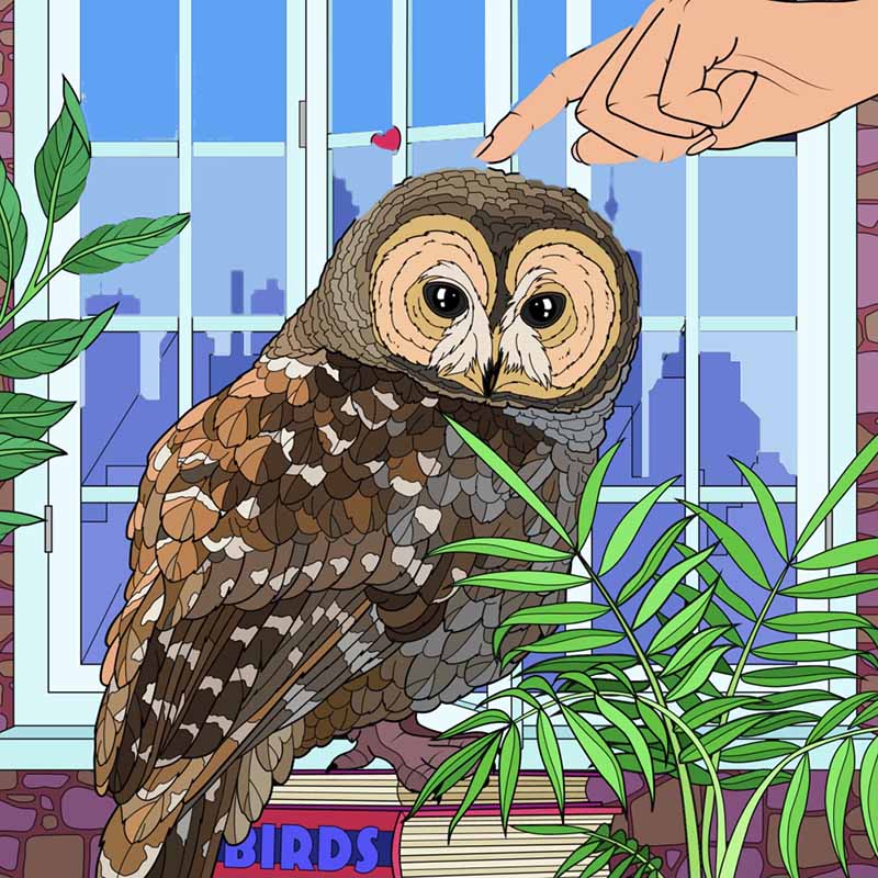 Full color line drawing of a brown barn owl being petter from the chapter Carol's Callers in Dumbledore's Army and the Summer of '98